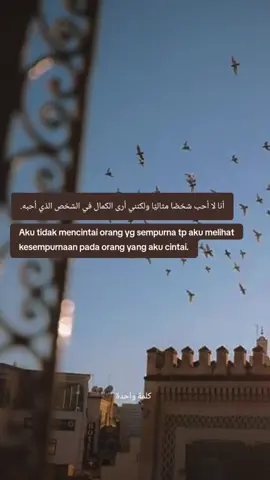 14.08 #syairarab #syaircinta #quotes #kataislamic #arabicsong 