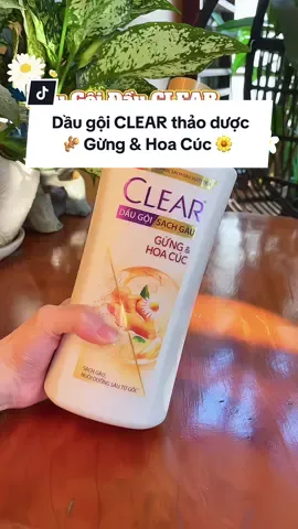Bà nào da đầu dầu, nhanh bết, nhanh ngứa, nhiều gàu, thì dùng thử cho tôi dầu gội đầu Clear thảo dược Gừng và Hoa Cúc này đi #songngureview #clear #cleargunghoacuc #daugoithaoduoc #daugoithiennhien #hoptaccungunilever #reviewlamdep #foryou 