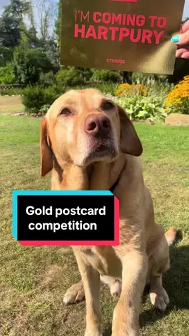 If you’re joining us for uni this September, tag us in a photo or video with your gold postcard to enter our competition 🤩 Arriving over the weekend! #shakinghands #handshake #handshaketrend #university #resultsday 