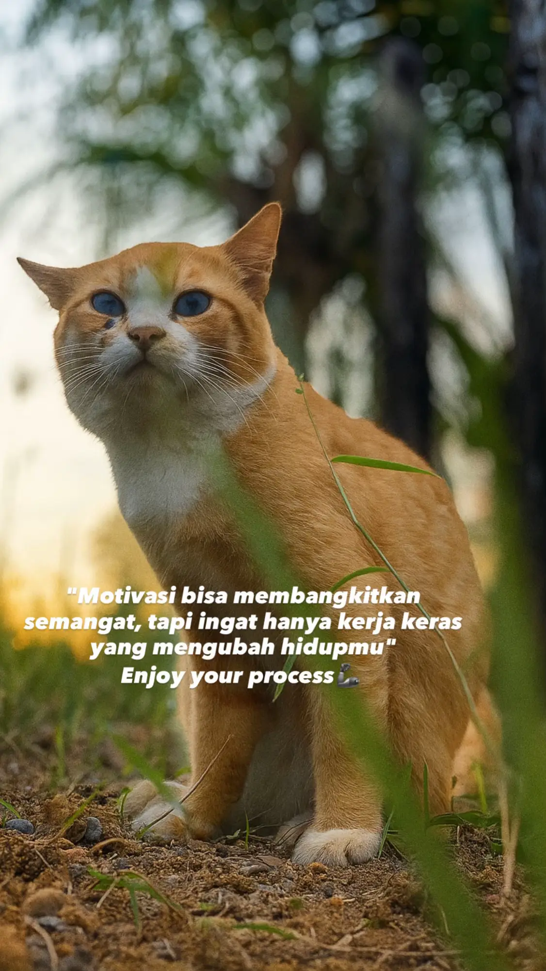 #katamotivasi #fyppppppppppppppppppppppp #lewatberanda #bugissidrap 