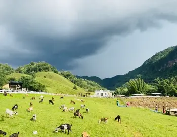 #မဲဆောက်ကားလေးအငှား #မဲဆောက် မြို့အနှံ့အလည် အပတ် ခရီးစဥ်တွေကိုလည်း စိတ်တိုင်းကျ လိုက်ပို့ပေးပါတယ်။ ဘယ်နေရာတွေ ပို့ပေးလည်း ဆိုတော့ 👇👇👇 မဲဆောက်မြို့ကို စိတ်ကြိုက်လှည့်လည်ဖို့ 