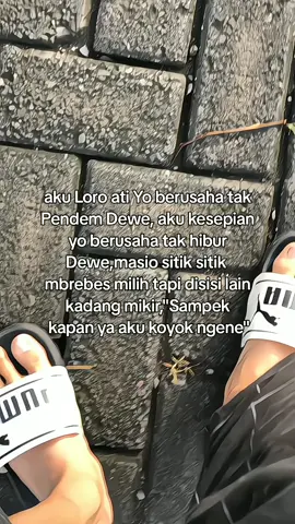 Sampek kapan cok