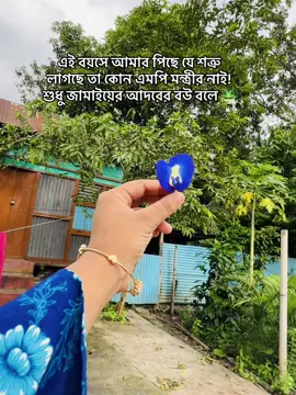 #foryoupag #probasirbou✈️✈️ #onthisday @TikTok Bangladesh 