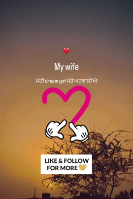 #mylove #wife #my #life #TrueLove #forever #lovestatus #punjabi #viralvideo #tiktok #trending #goesviral 