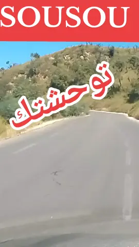 🌹🌹🌹🌹❤️❤️❤️❤️💞💞💕💞💕💞♥️♥️♥️💓💓💓💓