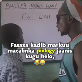 selele walaalaa 😭💔😂 #africantiktok #realindho #somalitiktok #cellwall