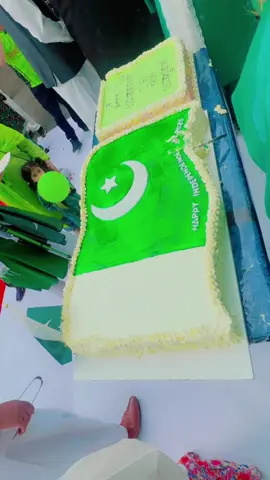 🇵🇰🇵🇰🇵🇰🇵🇰#foryoupage #pakistanzindabad #⭐️ziddigirl🌙🇬🇧 