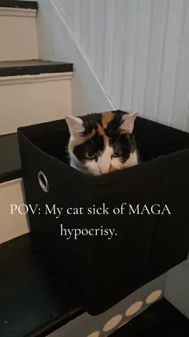 Facts on facts on facts.  #facts #PetsOfTikTok #Tatcha #reels #fyp #cats #politics #democrat 