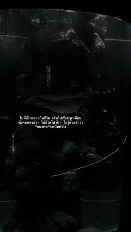 #เธรด #ยืมลงสตอรี่ได้ #เอาขึ้นหน้าฟีดที 