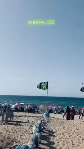 #الشعب_الصيني_ماله_حل 