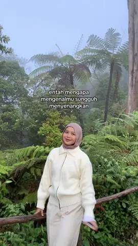 #fyp 