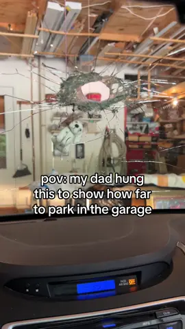 Replying to @esw_walter help 😭 #parking #car #fyp #viral #dog 