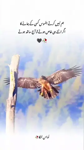 #creatorsearchinsights #fyp #foryou #virl_video_tiktok #unfrezzmyaccount 