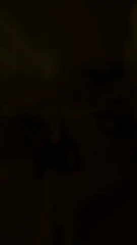 #CapCut 