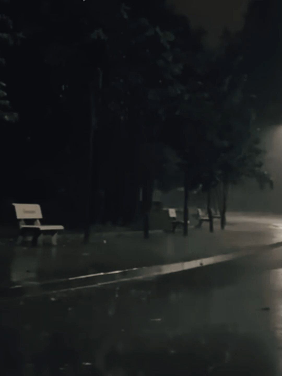 Sueños fantasiosos de ayer y hoy #viral #MIEDO #CAT #VIRAL #shortsvideo #shorts