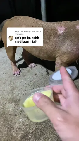 Replying to @Analyn Manalo Yes safe if madilaan man ng fur baby natin. Para sa skin treatment ng ating mga alaga, legit and trusted 🥹☝🏻 #skinproblem #madredecacao #pulgas #galis #fyp 