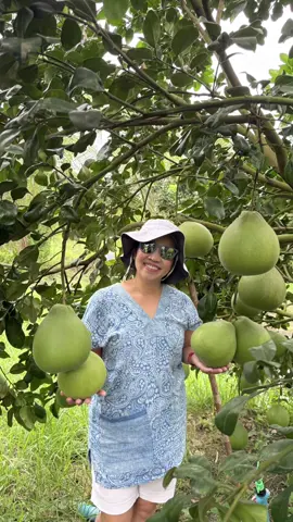 “Nature, Fresh Air, and a Simple life’s “ #SimpleLife #FarmLife #PomeloFarm #CoconutFarm #TropicalVibes 