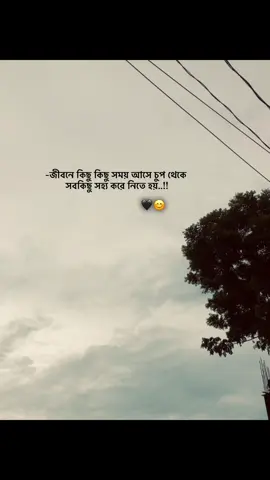 -জীবনে কিছু কিছু সময় আসে চুপ থেকে সবকিছু সহ্য করে নিতে হয়..!!🖤#foryou #status #caption #viral #viralcaption 