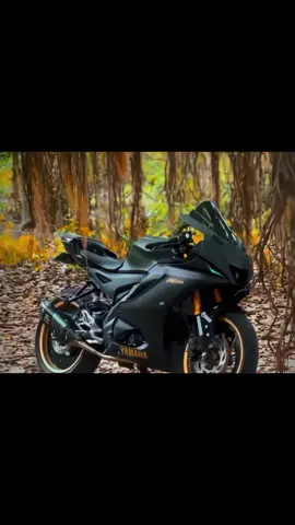 #bike_lavar07 