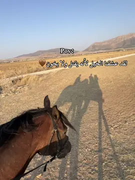 #خيل_وخياله🐎 #حب_بلا_حدود #عالم_الخيل #trend #الشعب_الصيني_ماله_حل😂😂 