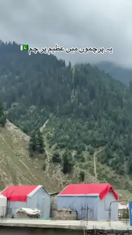 #pakistanzindabad #independenceday #2025 #moreviews #foryou 