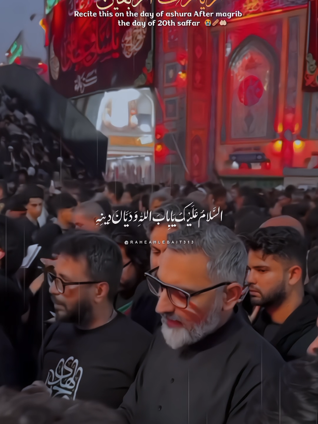 Ziyarate Arbaeen 😭🩹🤲🏻 @Shia Aesthetics  Allama Nusrat Bukhari recite in karbala, Ali Fani . . . . . #zyaratearbaeen #arbaeen #arbaeenwalk #fyp #foryou 