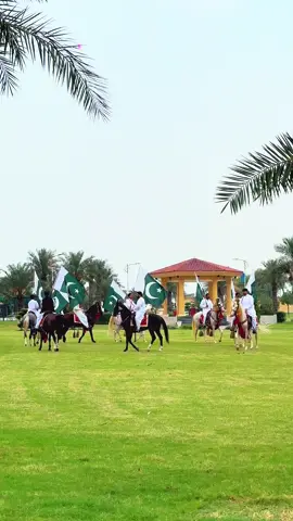 Independence day at MEHRIA Attock 🇵🇰 . . . . . . #trending #viral_video #2025 #independenceday #horselovers #culture 
