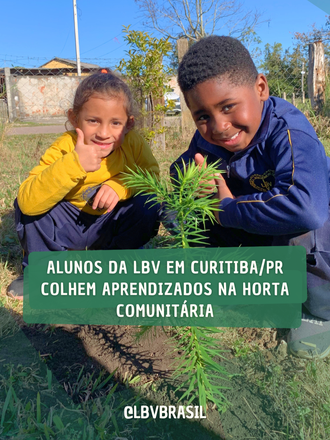 🌱 Uma aula diferente, prática e inesquecível! 🥕 Os alunos da escola da LBV, em Curitiba/PR, participaram de uma vivência especial na Horta Comunitária da Vila Pantanal. 🥬Com as mãos na terra e o coração aberto, eles aprenderam na prática como os alimentos são cultivados, do plantio à colheita. Foi uma imersão repleta de descobertas sobre frutas, verduras e hortaliças, além de um momento único de conexão com a natureza e com o valor do alimento saudável. 🍓 Assista ao vídeo e compartilhe com a gente: o que você achou dessa ação? Deixe nos comentários! 💙 . . . #LBVBrasil #EducaçãoComAmor #LBVCuritiba #HortaComunitária #AprendizadoNaPrática #CuidadoComANatureza #AlimentaçãoSaudável #transformandovidas