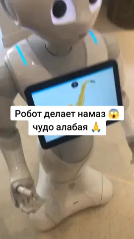 алабай покормит супом этого робота в супный денёк☠️ #allahuakbar #muslim #mosque #allah #намаз 