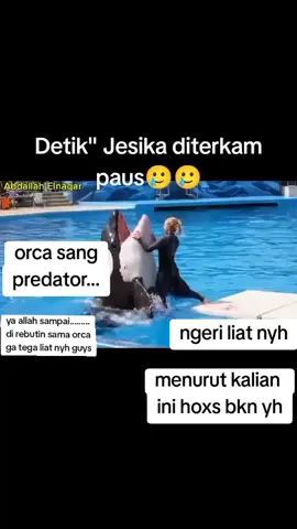 jesica di mangsa orca #pausorca#fyp#viral