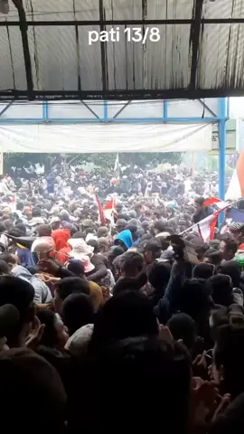 pati#demo#pati 