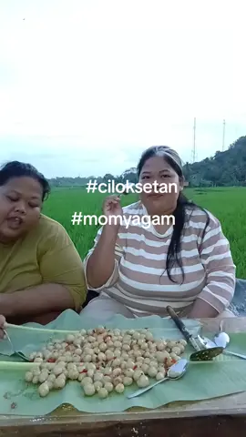 ciloksetan lagi #semuaorang  #ciloksetan  #fyp  #viral 