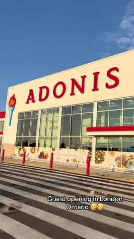 Adonis Grand Opening In London Ontario🥳🥳 3245 Wonderland Rd S #grandopening #london #ArabTikTok #foryou #food 