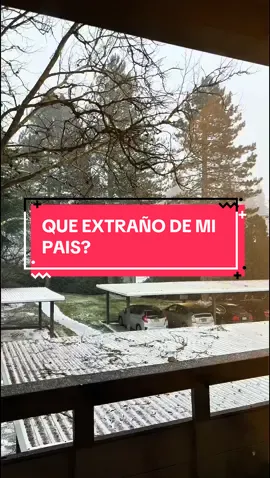 Replying to @🤗Dayana🤗 QUE EXTRAÑO DE MI PAIS? #latinosenusa #migrantes #vivirenelextranjero #venezolanosenusa #venezolanoseneuropa 