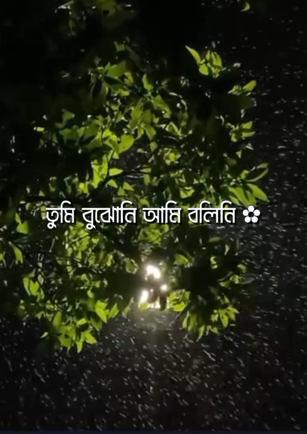 - তুমি বুঝোনি আমি বলিনি 