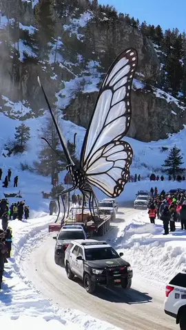 When Nature Goes Oversized #fyp #unexpected  #giantanimals #transport 