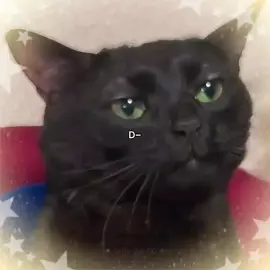 ᴛʜᴀᴛs ғᴀᴄᴛs #CapCut #viralvideos #funny #foryoupage #Meme 