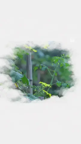 Em vẫn thương anh, nhưng thương theo một cách khác… #giuanhungconsong #phattrienbanthan #chualanh #sach 