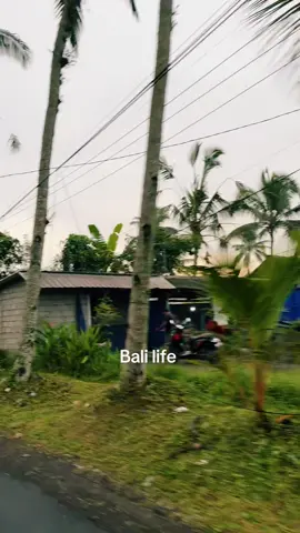 Le strade di Bali sono uniche 💚