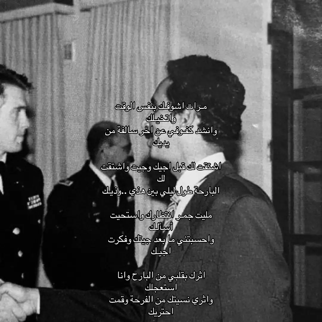#مساعد_الرشيدي 
