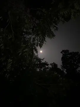 ভেবেছিলাম পেয়ে গেলাম তোমায়, ঠিক তখনই ঘুম ভেঙে গেল ! 😅❤️‍🩹 #foryou #foryoupage #edit #viral #kaiummahamudminar @TikTok Bangladesh 