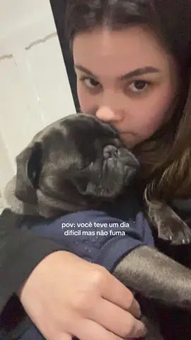 #fyp #fyyyyyyyyyyyyyyyy #pug #cachorro #dog 
