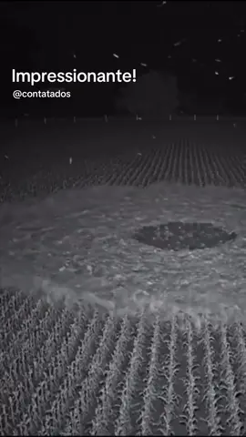 Círculo se forma em plantação, como se algum objeto estivesse pousando. Fenômeno foi flagrado por câmeras de segurança!! O que você acha que pode ter sido?  #ufo #ufologia #contatados #ovni #plantacao #fenomeno #nave #alien 