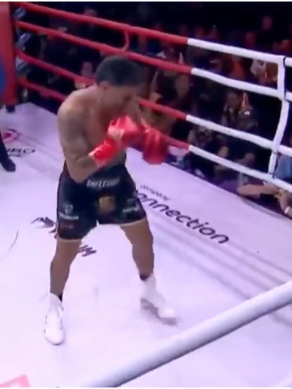 #boxing🥊 #popo #entretenimiento #zoeira #foryoupage 