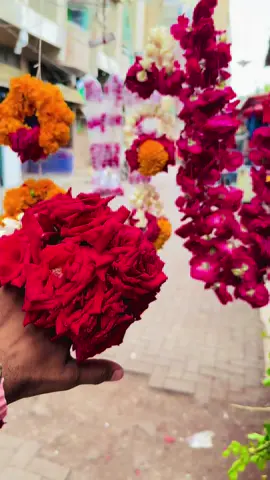 #nadirflowers @🌹𝐍𝐚𝐝𝐢𝐫 𝐟𝐥𝐨𝐫𝐢𝐬𝐭🌹 @🌹𝐒𝐀𝐑𝐓𝐀𝐉 𝐀𝐁𝐁𝐀𝐒𝐈 🌹 