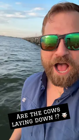 “Y’all ever hear this one? 🤔 My grandparents always said… if the cows are layin’ down 🐄➡️🛏️ you don’t go fishin’ 🎣💦 Anyone else grow up with that rule?”