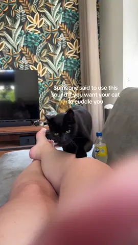 Save to say the sound works 🐈‍⬛ #CatsOfTikTok #blackcat #working #tranding 
