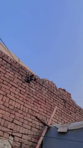 #ramzan9277 