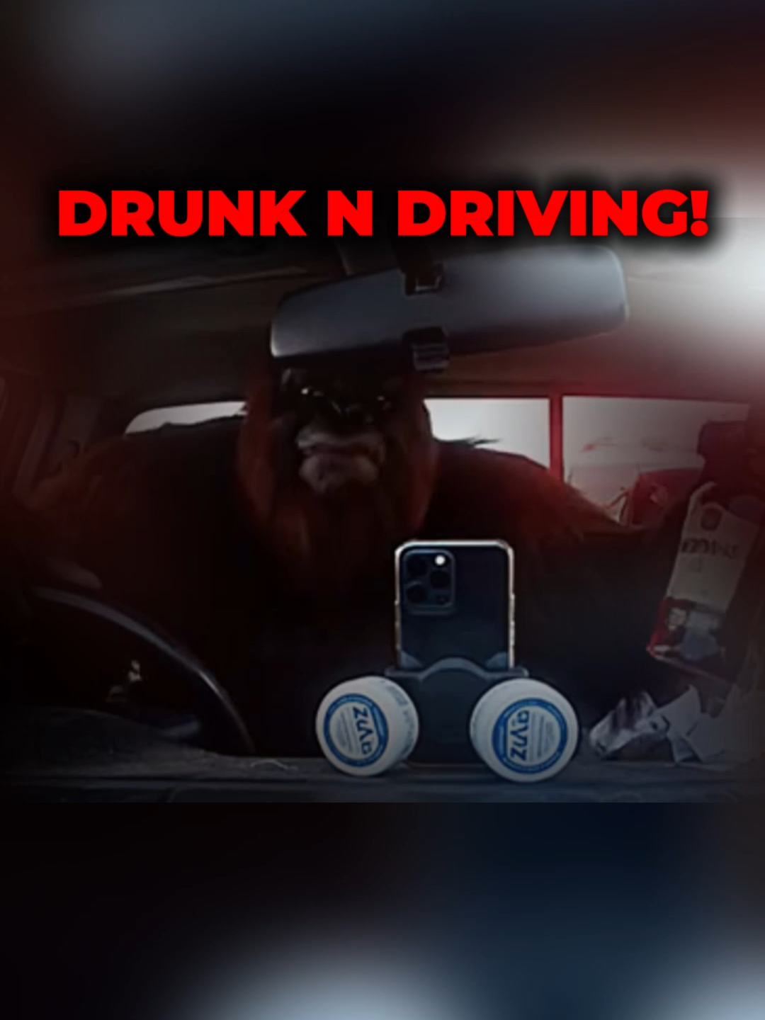 Drinking and Driving!🍶🍶🚘🚘 #bigfootvlogs #funnymoments #savage #bigfootvlog #bigfootboyz