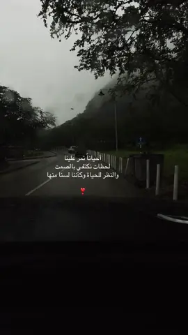 #explore #creatorsearchinsights #الشعب_الصيني_ماله_حل #اكسبلورexplore❥🕊🦋💚❤🕊️ #explore_اكسبلورر